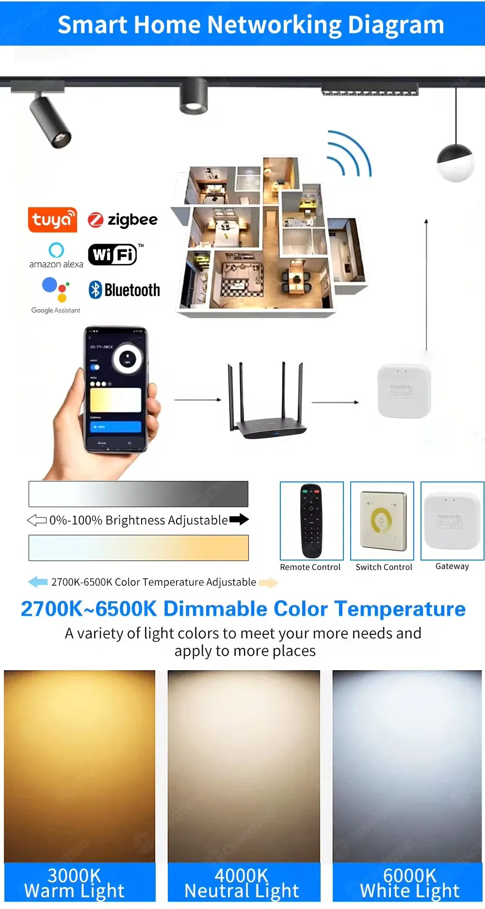 Vertical Product Showcase