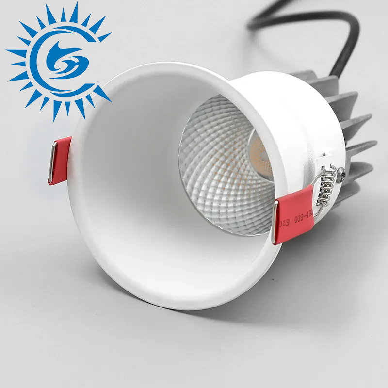 LED Spot Light Downlight 10W 20W Ceiling Recessed Adjustable COB