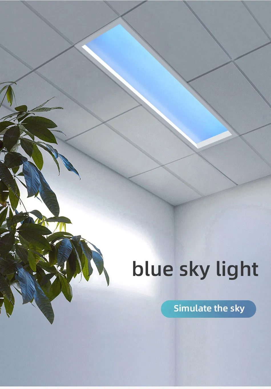 Natural Blue Sky Lighting on Room Real 3D Vision LED Panel