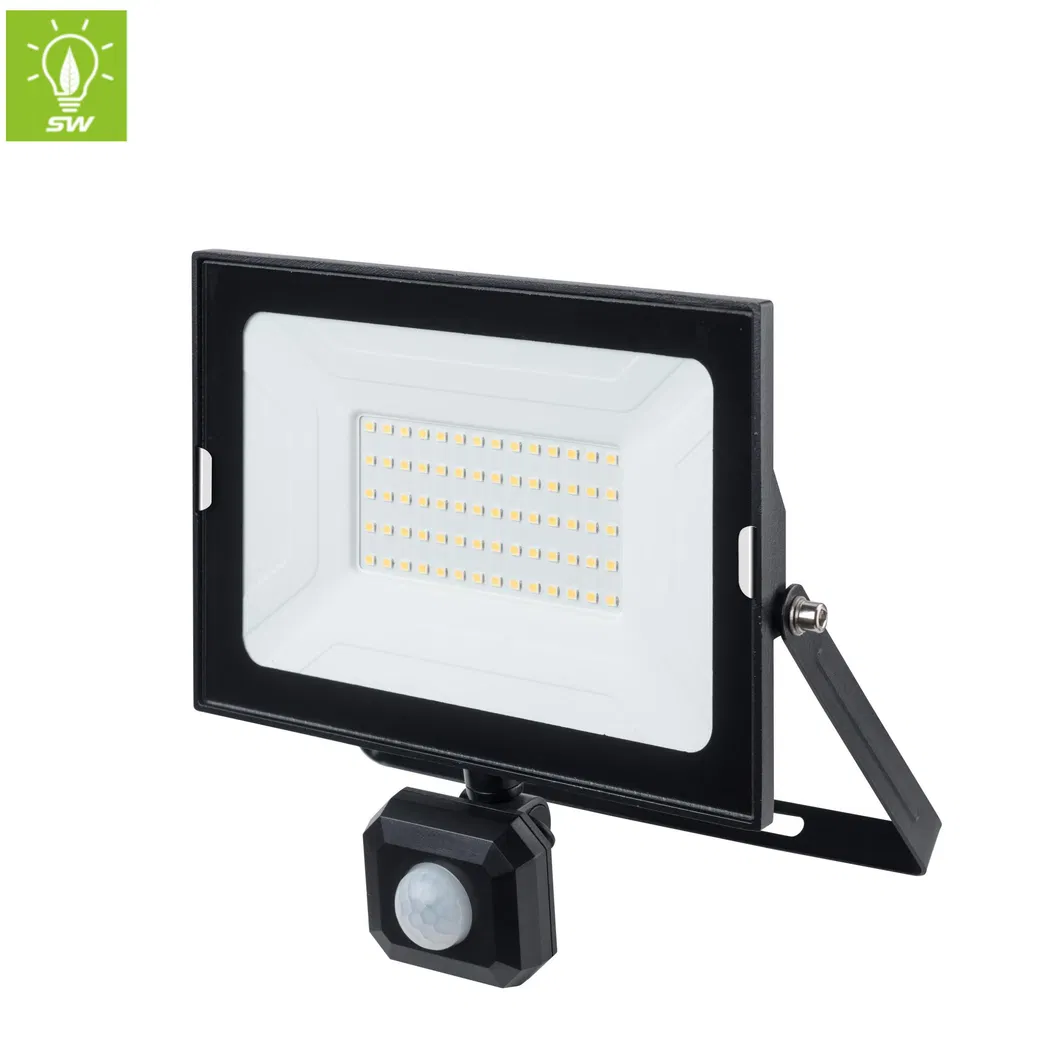 Outdoor LED Flood Light