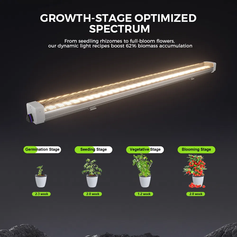 LED Grow Light ETL Listed 120W Full Spectrum 2.7umol/J for Under-Canopy Supplemental Lighting