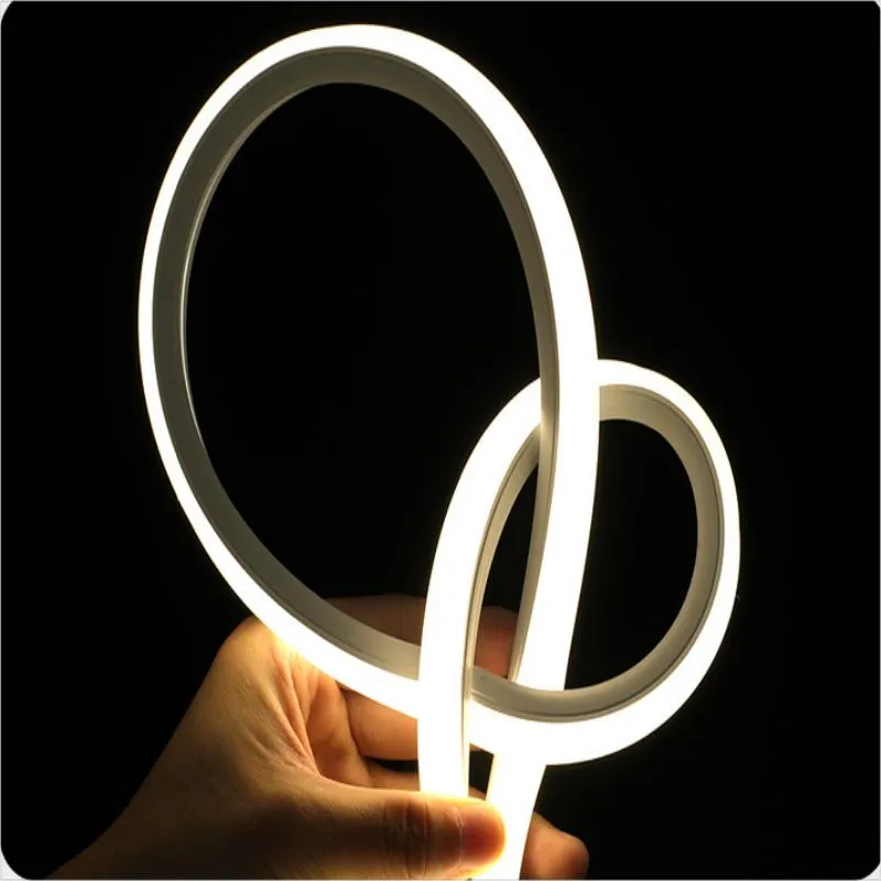 Decorative Neon Strips