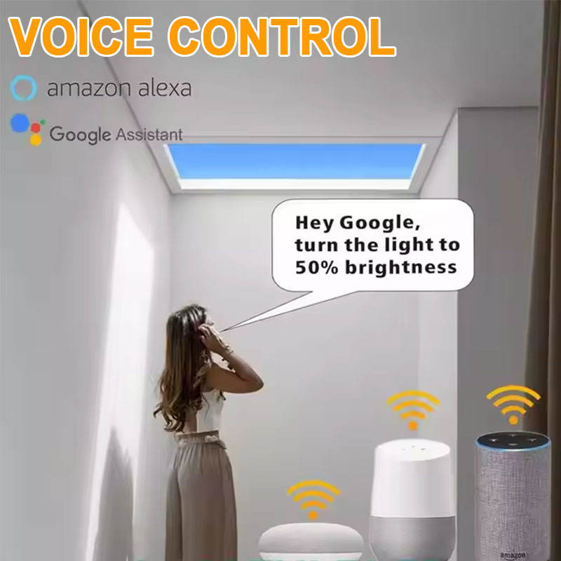 Smart Remote Control Embedded Clear Sky Light LED Skylight Ceiling Panel Light