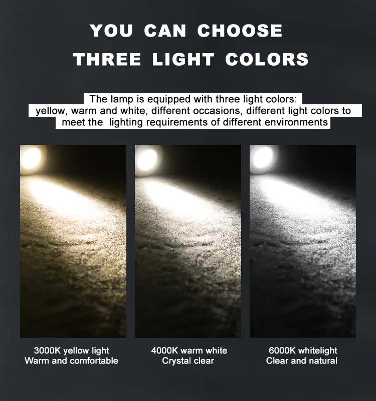 LED Downlight Showcase 7