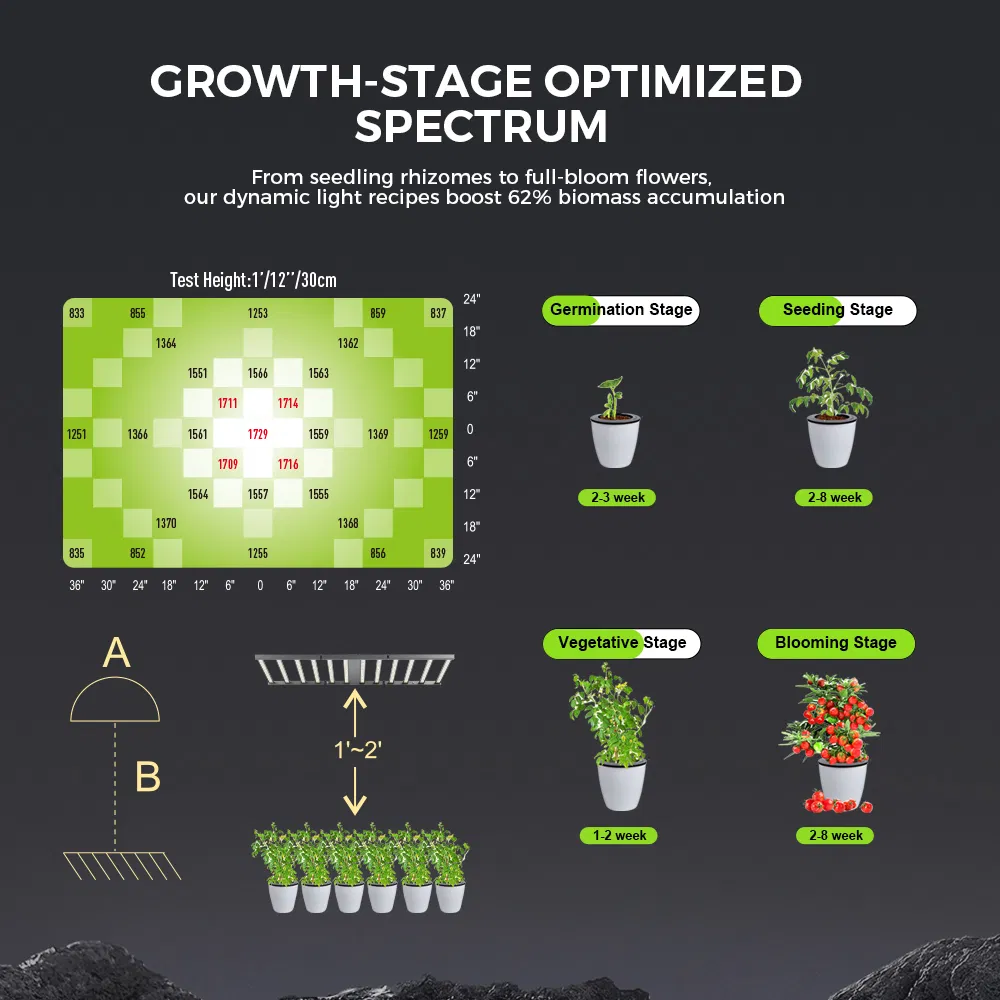 1200W High Efficiency LED Grow Light Higrowsir Jjd-1200 for 4X6FT Canopy Coverage 5-Year Warranty