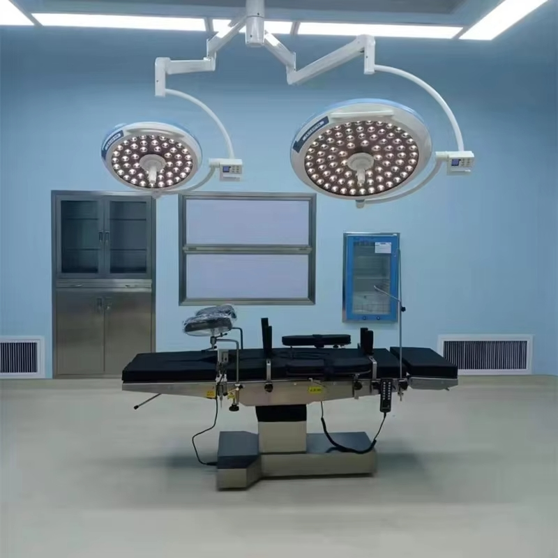 Wall Mounted LED Dental Veterinary Ot Light Surgical Examination Lamp Medical Operation Room Electric Powered Metal Plastic