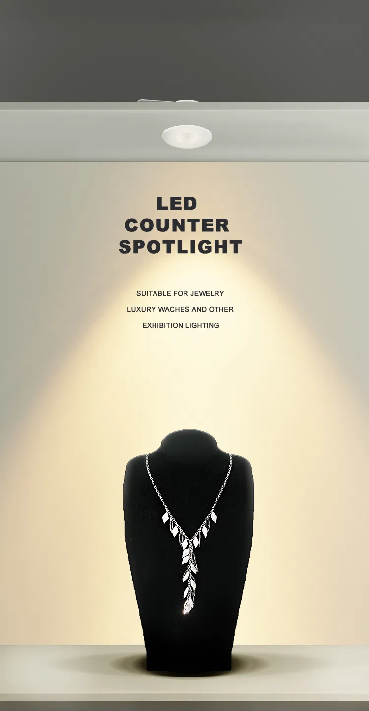 LED Downlight Showcase 3