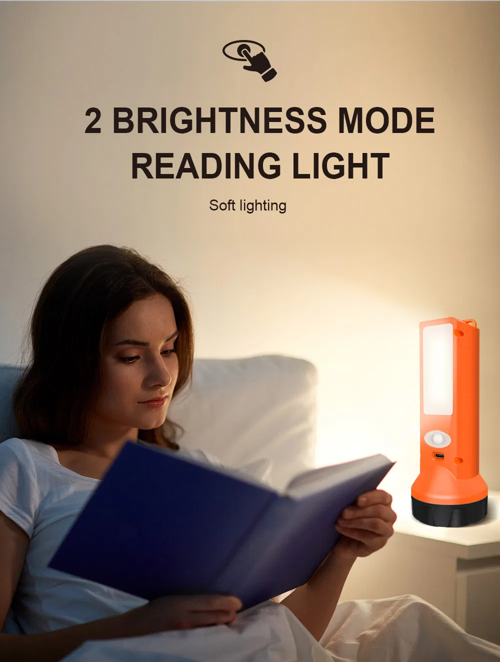 Solar Torch Detail 5