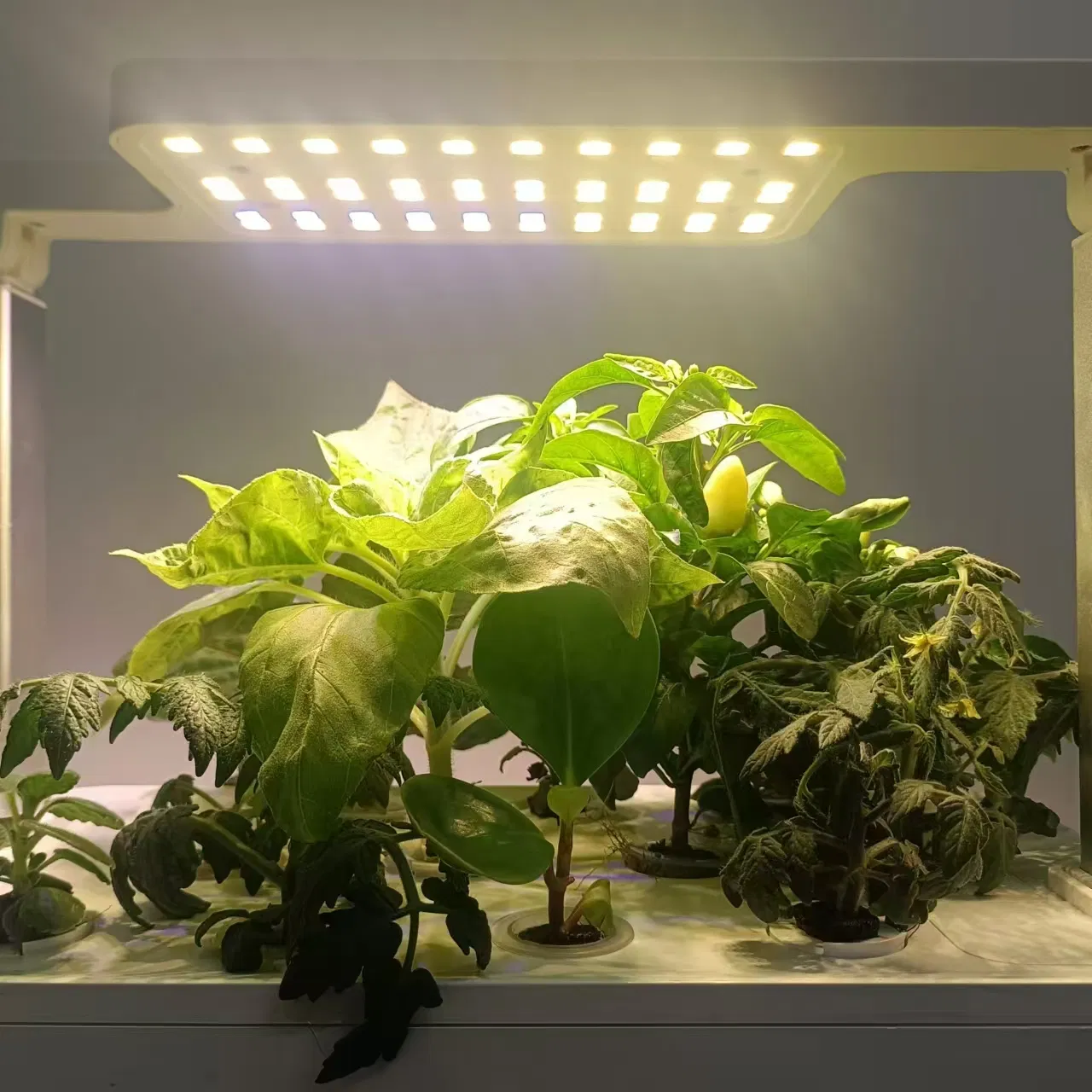 LED Plant Grow Light Full-Spectrum LED Bead Far-Red Light Intelligent
