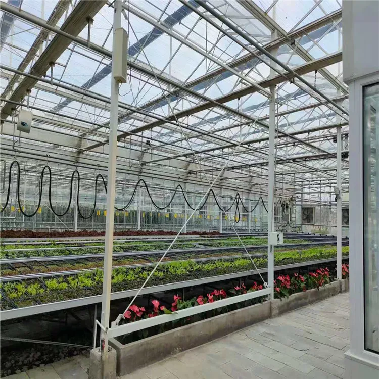 Seedling Nursery