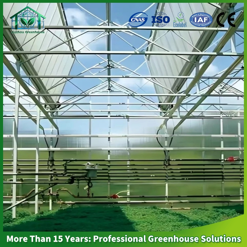 Multi-Span Polycarbonate Greenhouse PC Sheet Hot DIP Galvanized Steel Frame Commercial Vegetable Flower Fruit Nursery Hydroponic Agriculture Farm