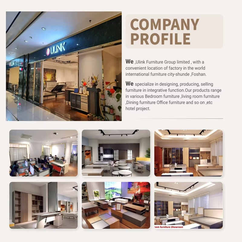 Italian Wholesale Factory Double Sofa King Wall Bed Modern Office Hotel Wooden Bedroom Living Room Home Furniture