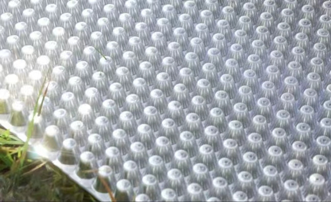 Anti-Corrosion Thickened Plastic Nursery Tray for Efficient Plant Propagation