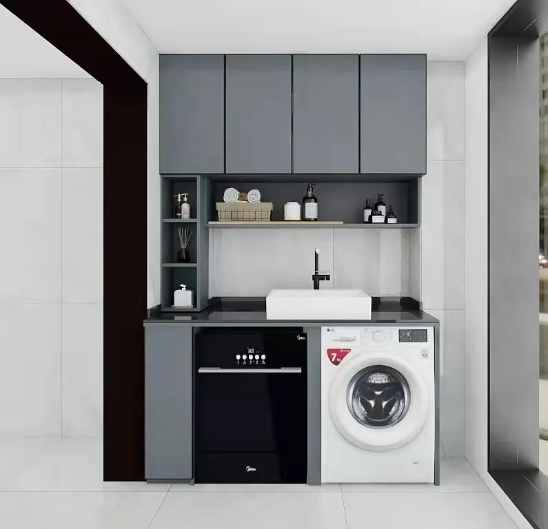 Washing Room Cabinet 5