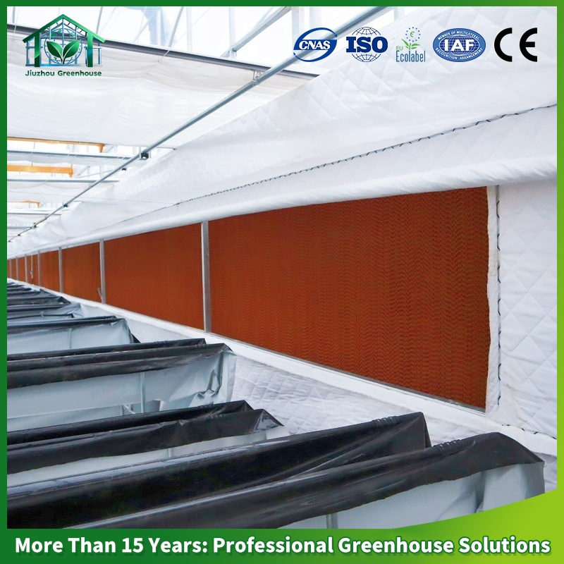 Multi-Span Polycarbonate Greenhouse PC Sheet Hot DIP Galvanized Steel Frame Commercial Vegetable Flower Fruit Nursery Hydroponic Agriculture Farm