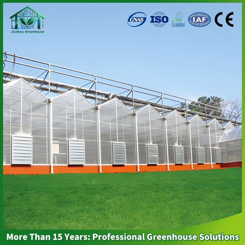 Multi-Span Polycarbonate Greenhouse PC Sheet Hot DIP Galvanized Steel Frame Commercial Vegetable Flower Fruit Nursery Hydroponic Agriculture Farm