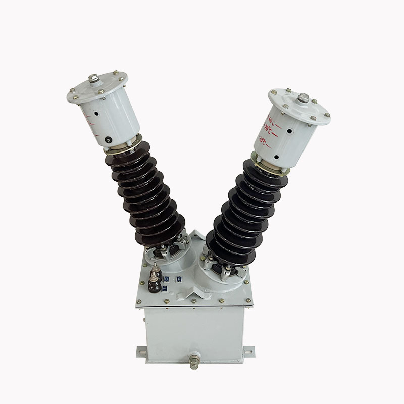 Lugao Manufacturer 10kv (JD(X)-10) Outdoor Oil-Insulated Voltage Current Transformer PT