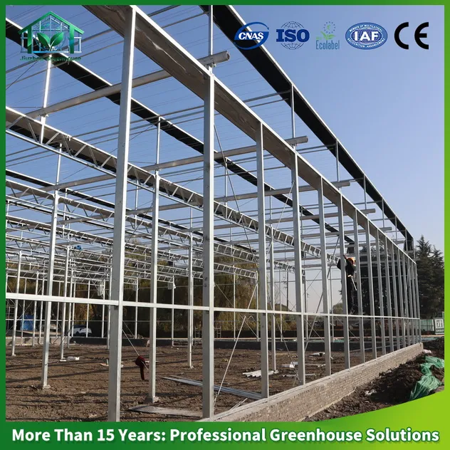 Greenhouse Display 2