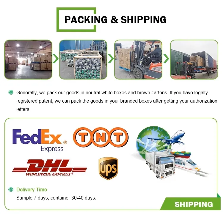 Shipping Logistics