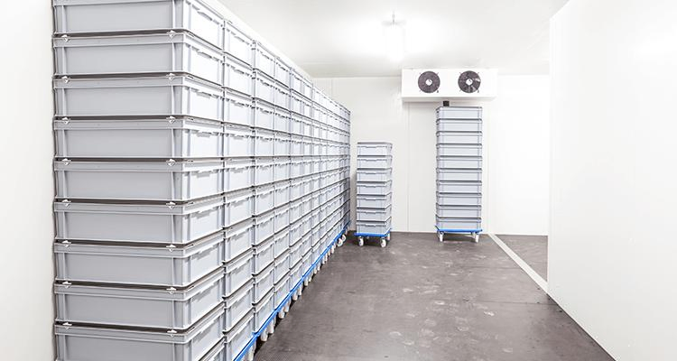 Walk-in Refrigeration Deep Freezer for Meat Storage