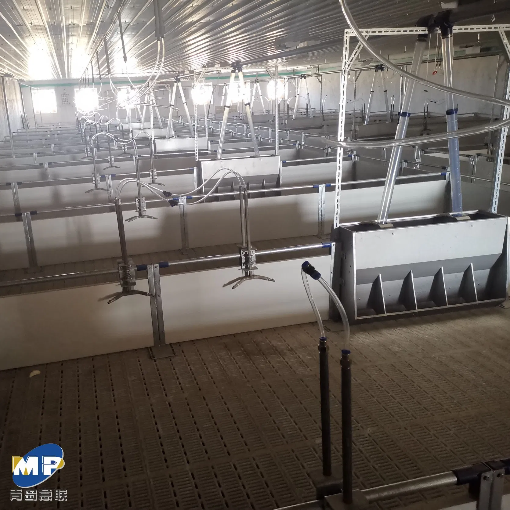 Pig Equipment Durable Nursery Penning for Healthy Weaner Pig Development Nursery Penning Weaner Penning