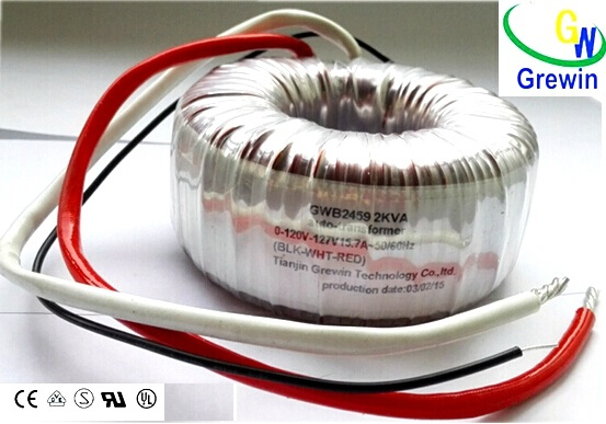 100/5A Toroidal Current Transformer Direct Manufacturer