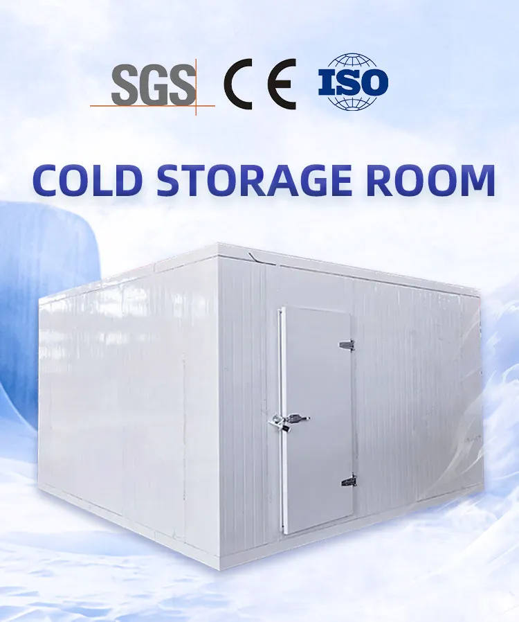 Cold Storage Room