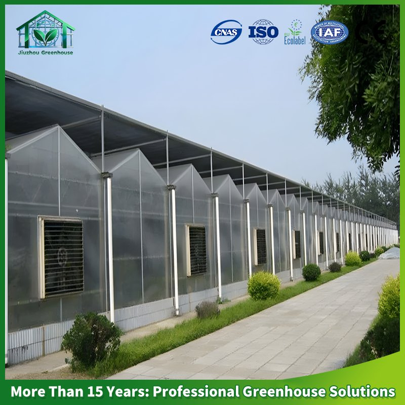 Multi-Span Polycarbonate Greenhouse PC Sheet Hot DIP Galvanized Steel Frame Commercial Vegetable Flower Fruit Nursery Hydroponic Agriculture Farm