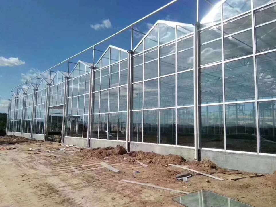 High Efficient Commercial Glass Greenhouse with Shading System for Seedling Nurseries