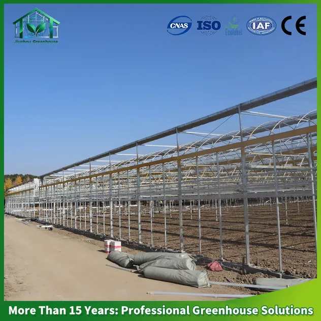 Custom Greenhouse 1