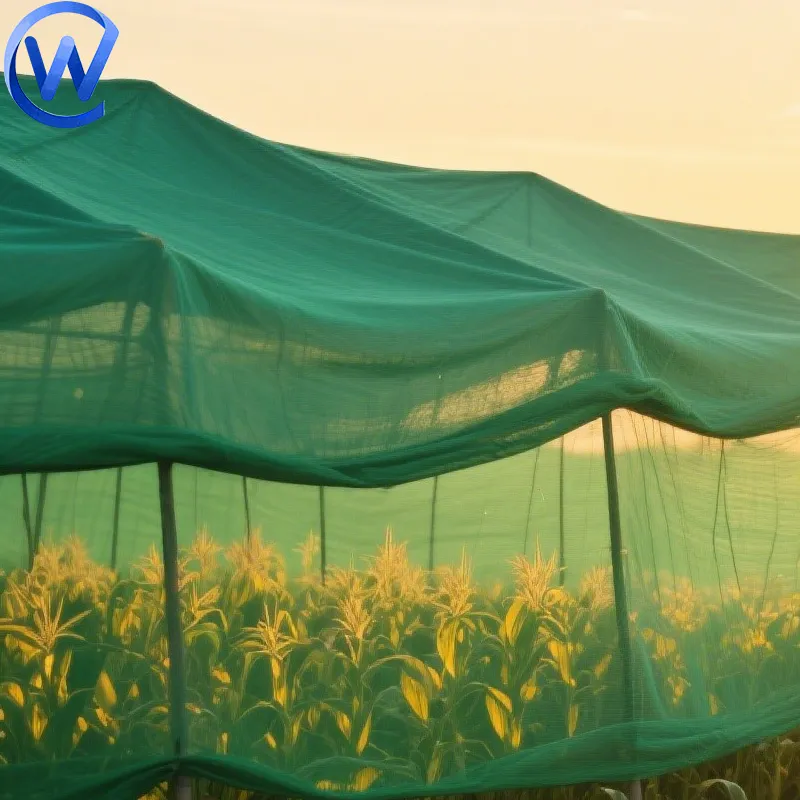 Greenhouse Application