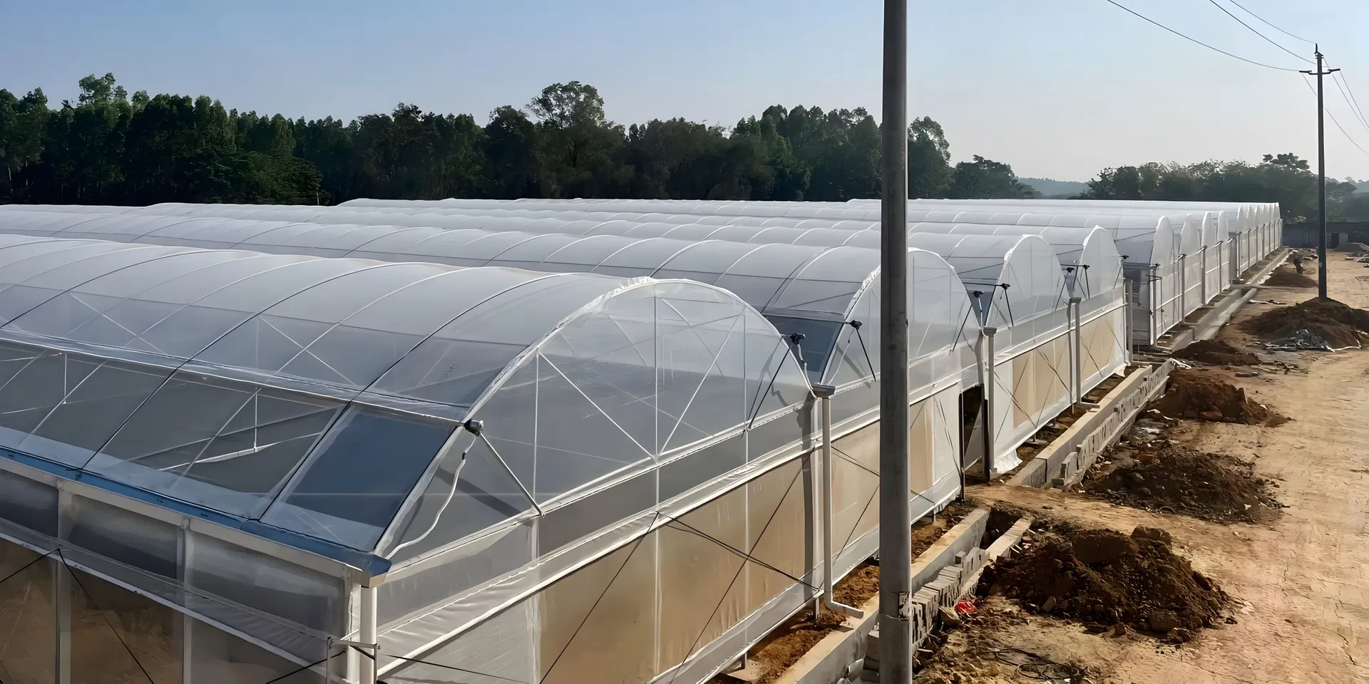 Multi-Span Greenhouse Solution