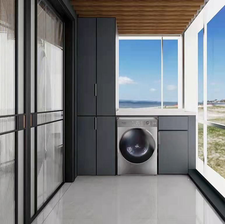 Stainless Steel Washing Room Cabinets for Laundry (BR-SP012)