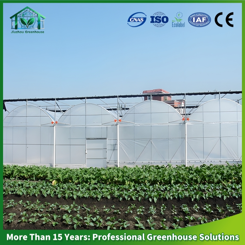 Multi-Span Arch Plastic Film Greenhouse Hot DIP Galvanized Steel Frame Ventilation for Commercial Vegetable Flower Fruit Nursery Hydroponic Agriculture Farm