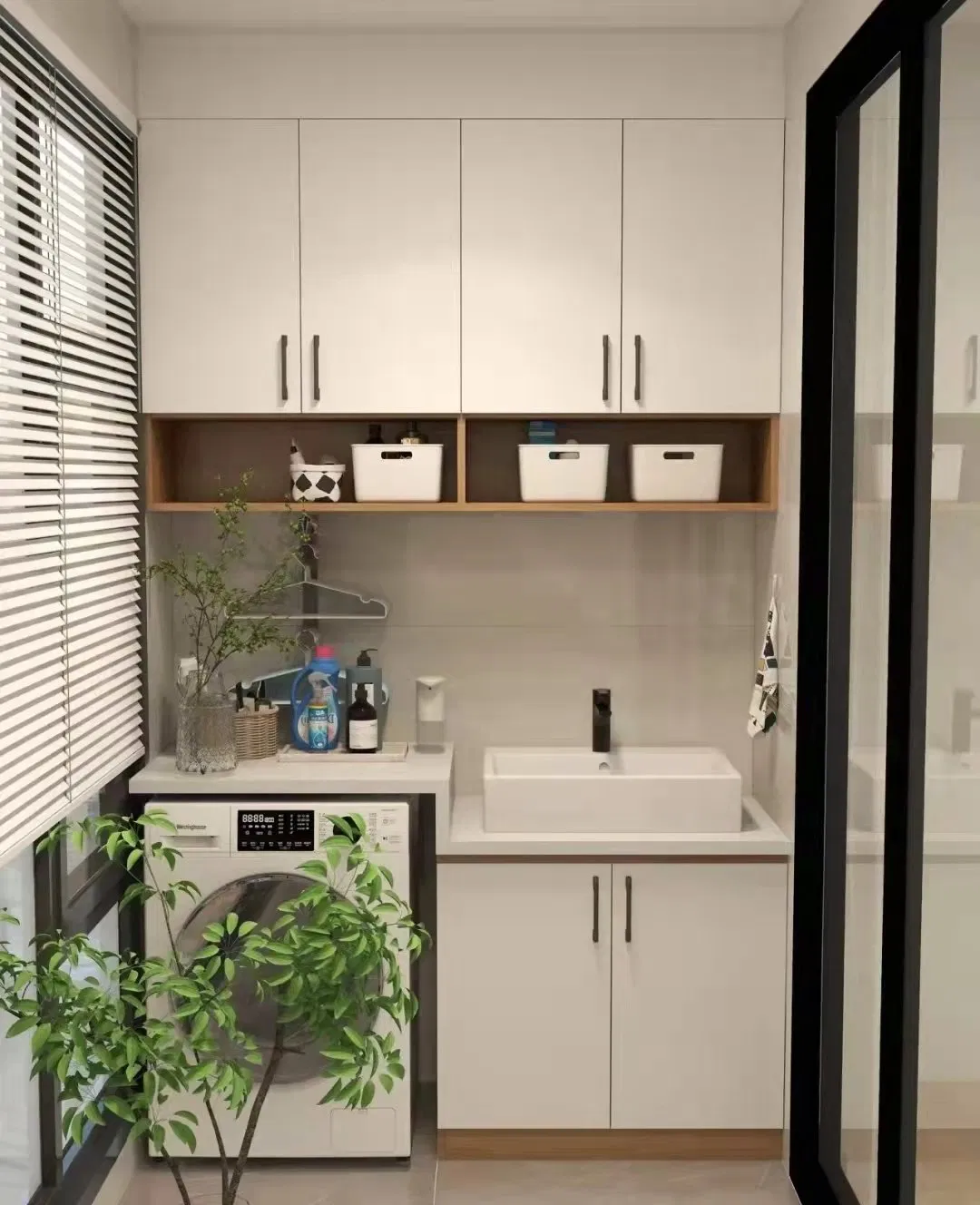 Stainless Steel Washing Room Cabinets for Laundry (BR-SP012)
