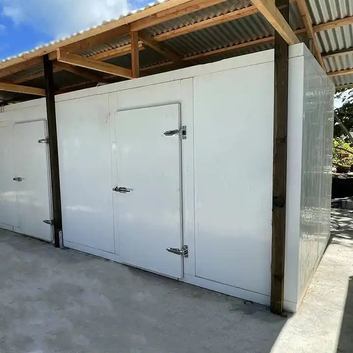Meat/Vegetables/Fish/Fruit/Banana Walk in Cooler Cold Storage Room with Compressor Refrigeration Unit