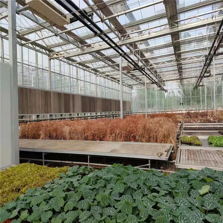 Greenhouse Interior