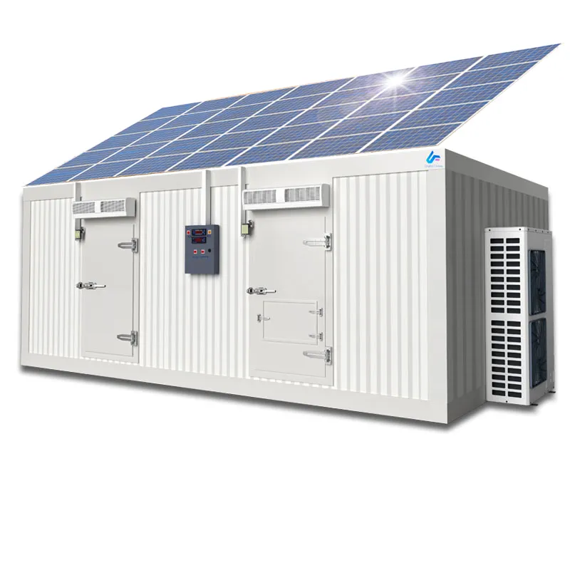 Solar Cold Storage Chill Walk in Freezer Room with Built-in Battery Storage System Refrigeration Equipment