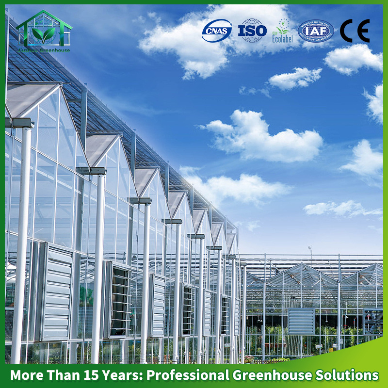 Multi-Span Venlo Glass Greenhouse Green House for Nursery Tomato Cucumber Leafy Vegetables Flowers with Hydroponic Automatic Irrigation System Long Life