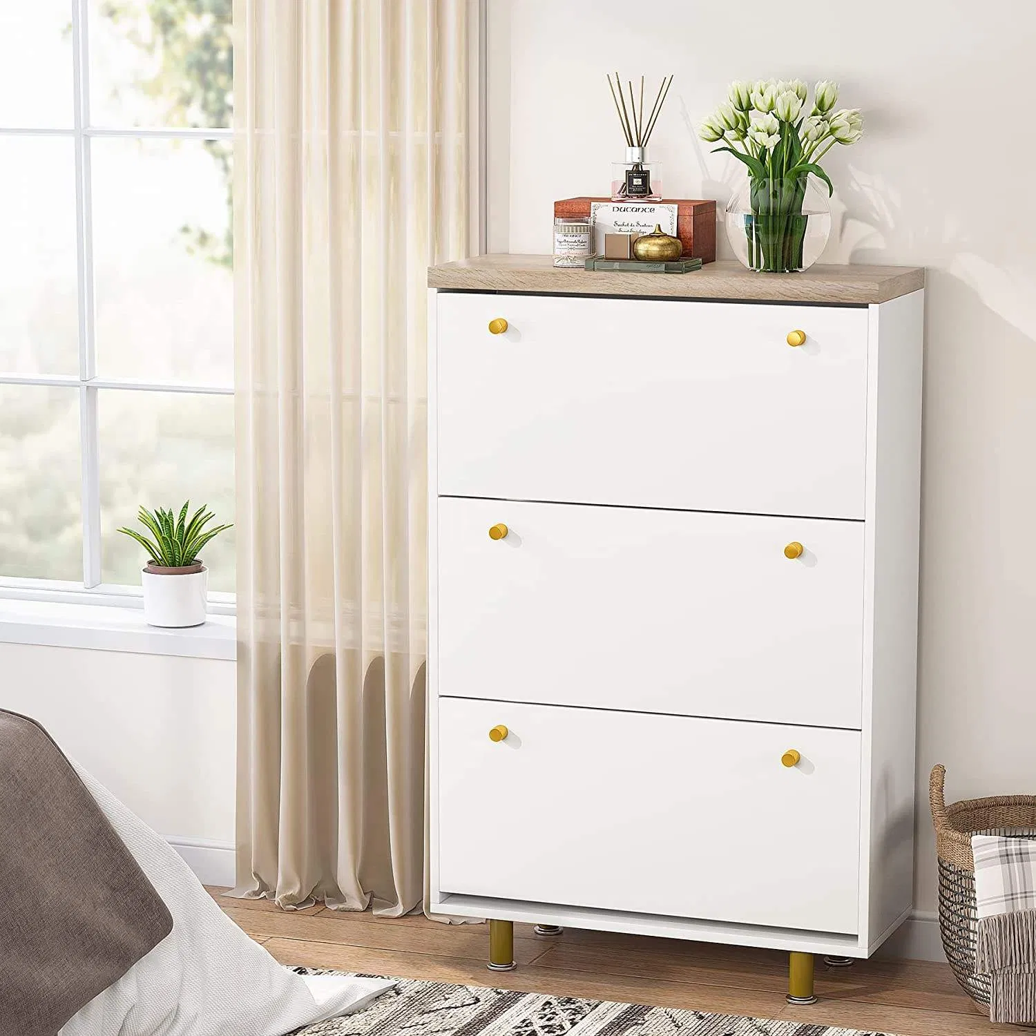 Modern Shoe Rack Cabinet, Easy Assembly Entryway Storage Organizer for Living Room