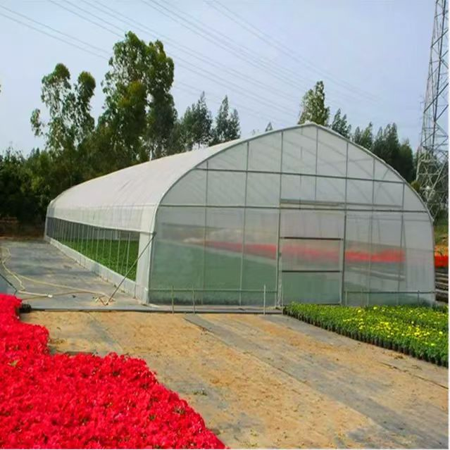 Durable Greenhouse Steel Structure Metal Frame Complete Set for Commercial Agriculture Nursery Farming Serres Agricoles