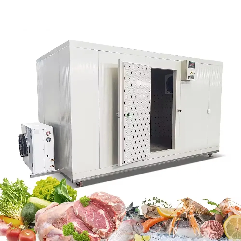 Walk-in Refrigeration Deep Freezer for Meat Storage