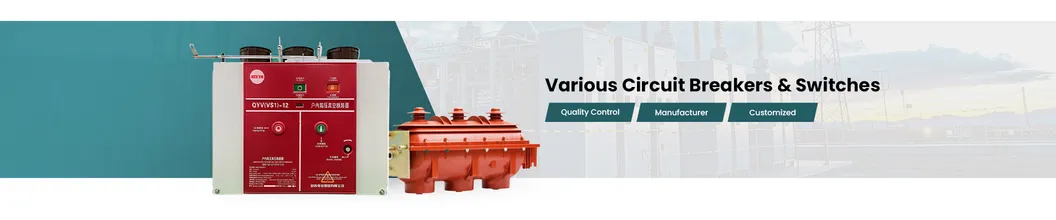 Vacuum Circuit Breaker Main