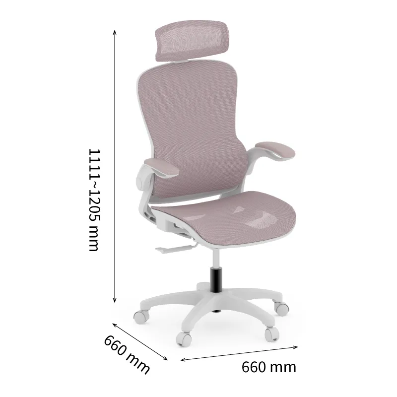 Remy Ergonomic Mesh Chair