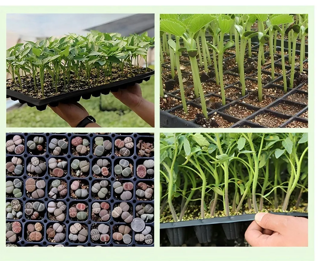 Indoor Planting Application