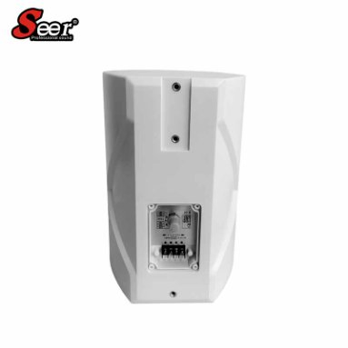 Seer Audio PRO Audio Speaker 8 Ohm Passive Wall Mount Woofer Home Party Theatre