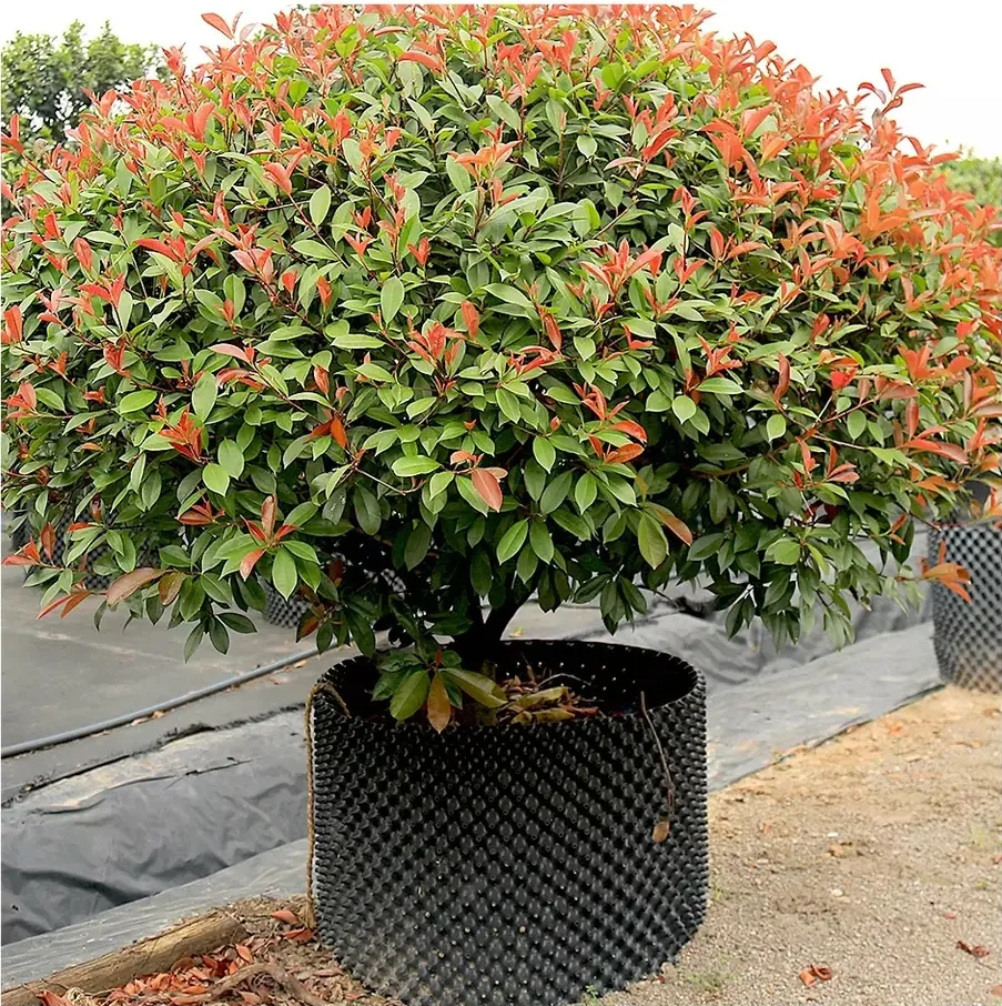 Root Control Container