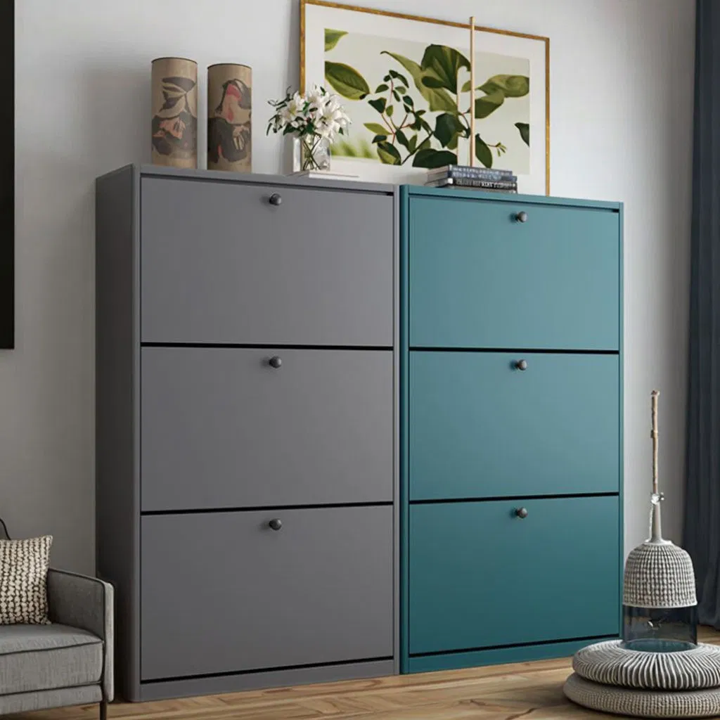 Modern Design Home Use Wall Mounted Entryway Rack Metal Shoe Cabinet