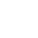 Quality Icon