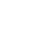 Precision Icon